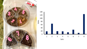 soil samples and votes for urban food growing 